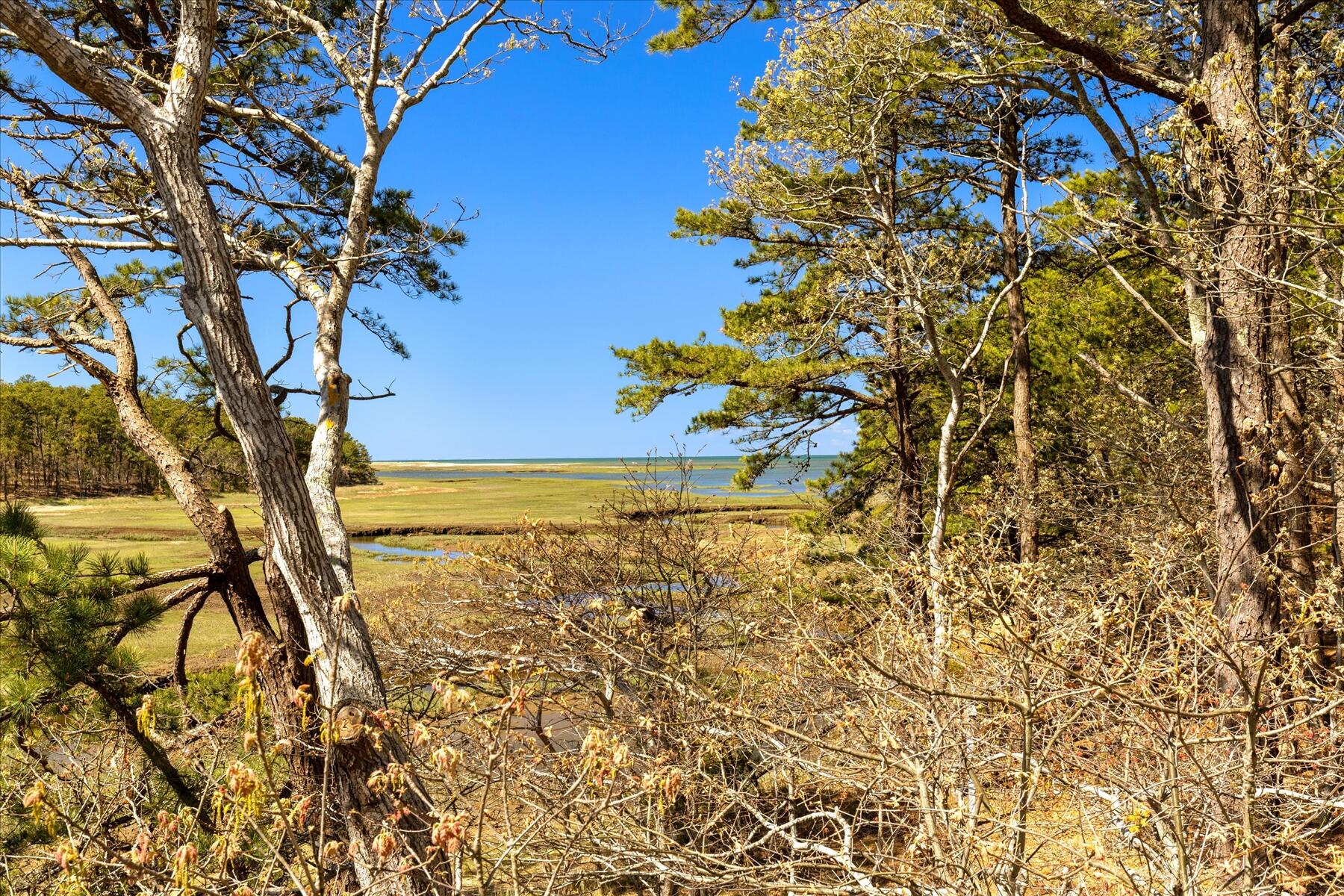 260 Blue Heron Road Wellfleet MA 02667