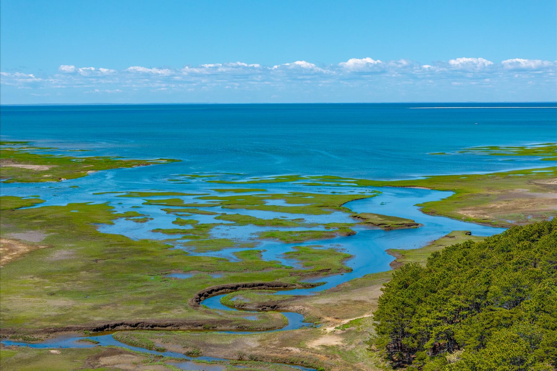260 Blue Heron Road Wellfleet MA 02667