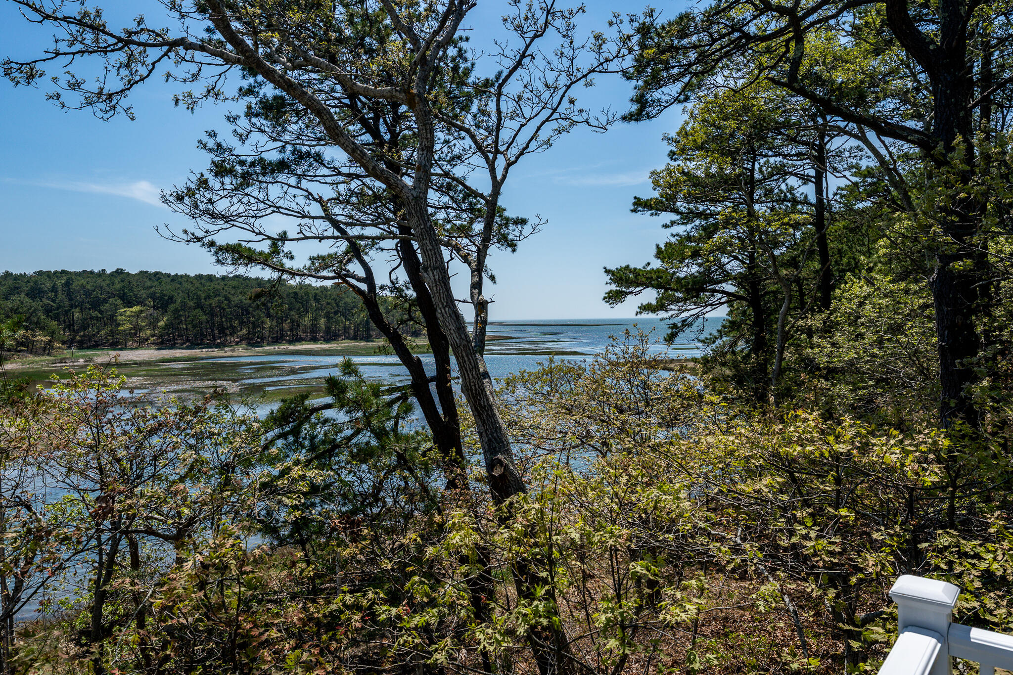 260 Blue Heron Road Wellfleet MA 02667