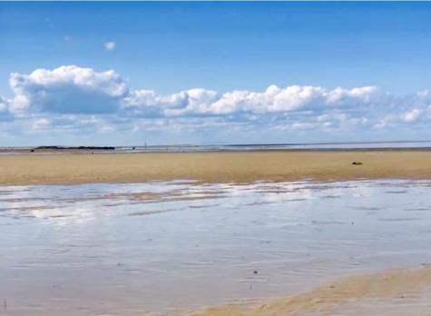 117 A P Newcomb Road Brewster MA 02631