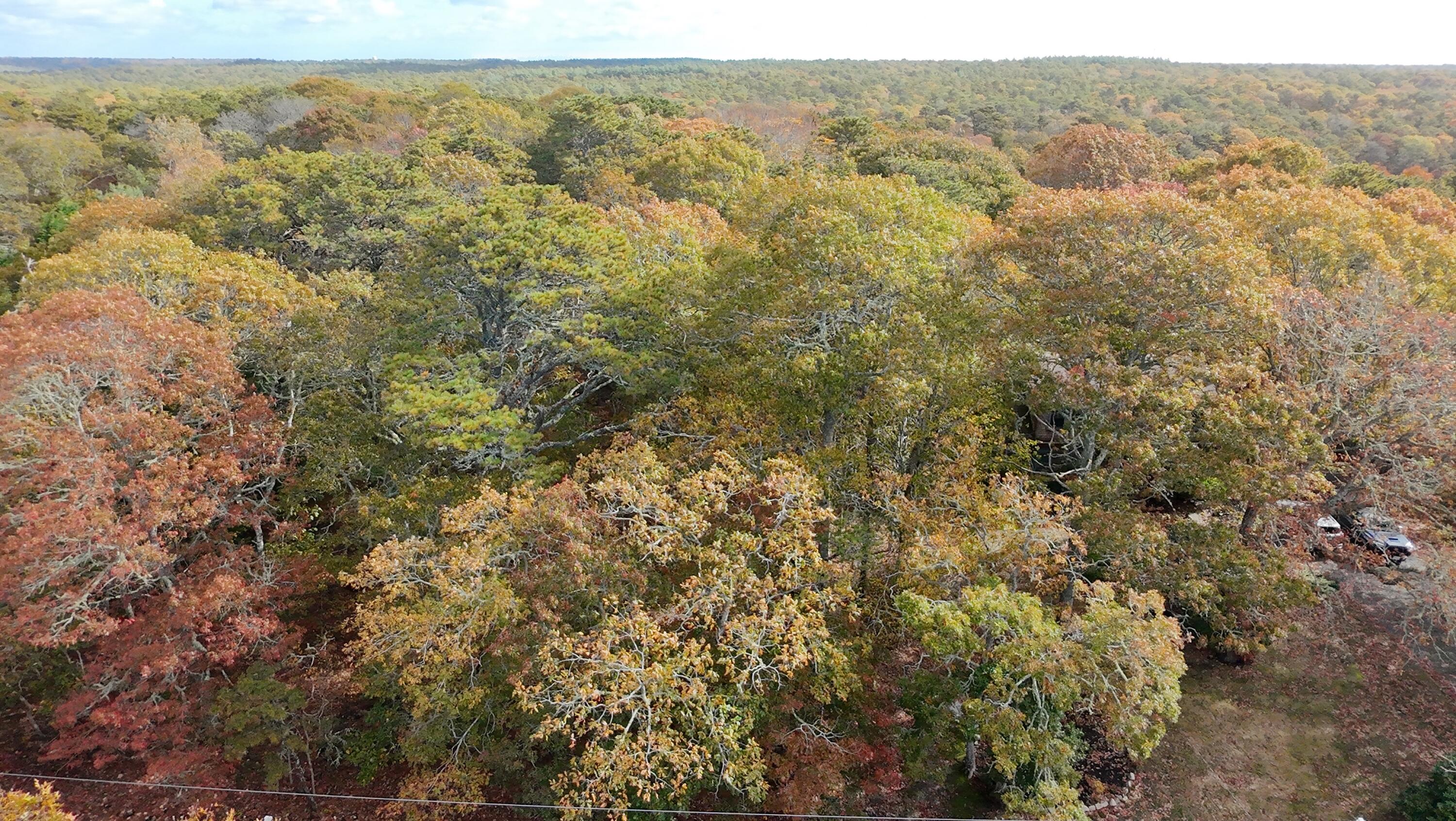 274 Commons Way Brewster MA 02631