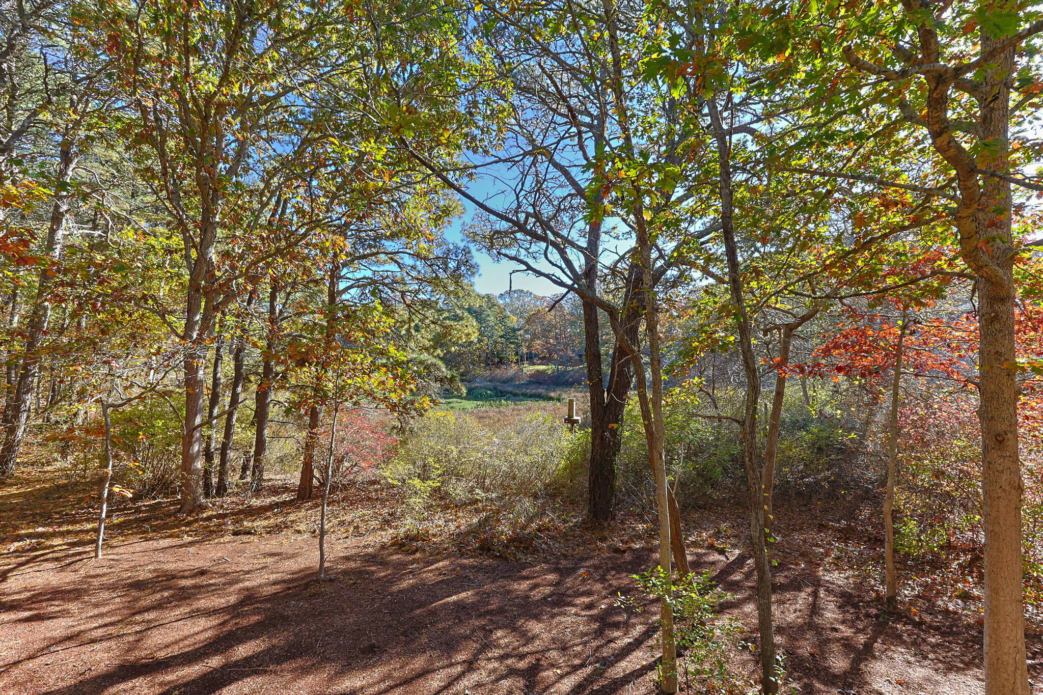 60 Briggs Field Road Eastham MA 02642