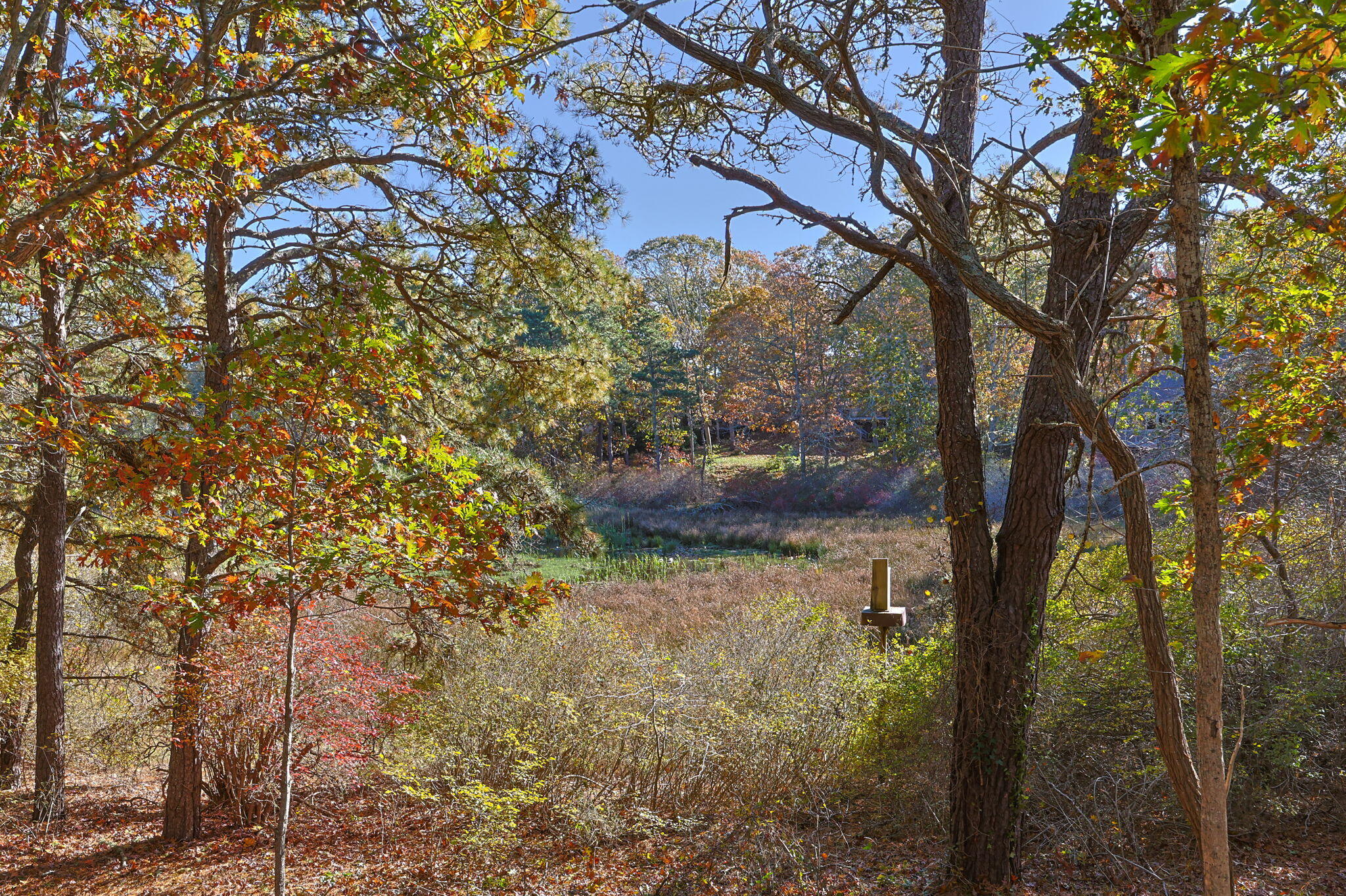 60 Briggs Field Road Eastham MA 02642