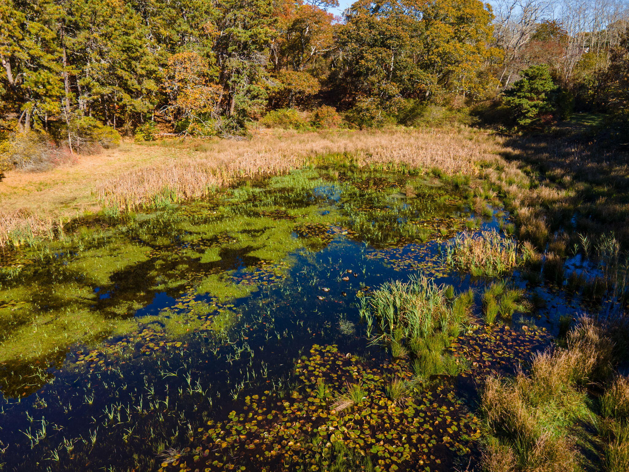 60 Briggs Field Road Eastham MA 02642