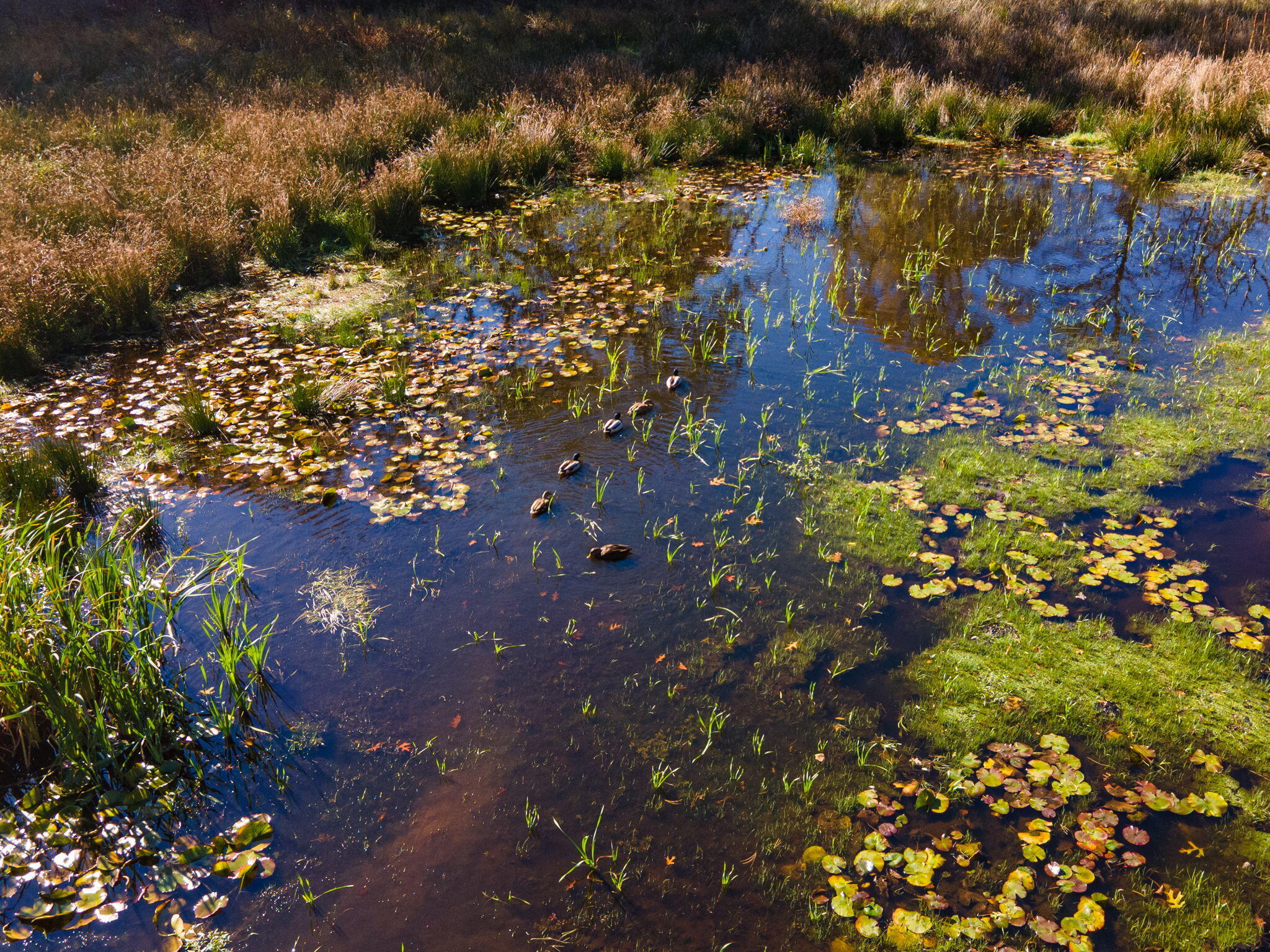 60 Briggs Field Road Eastham MA 02642