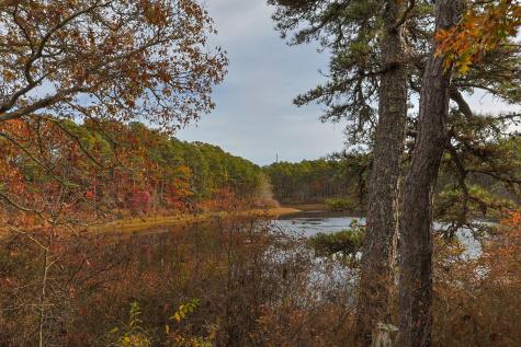 86 Greenland Circle Dennis MA 02641