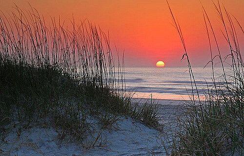 135 Sisson Road Harwich MA 02645