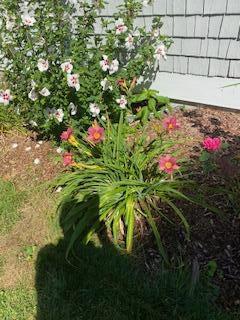 21 Brae Burn Lane Yarmouth MA 02664