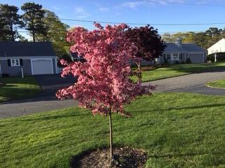 21 Brae Burn Lane Yarmouth MA 02664