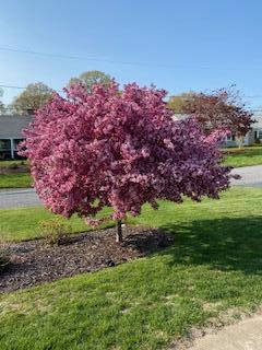 21 Brae Burn Lane Yarmouth MA 02664