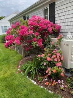 21 Brae Burn Lane Yarmouth MA 02664