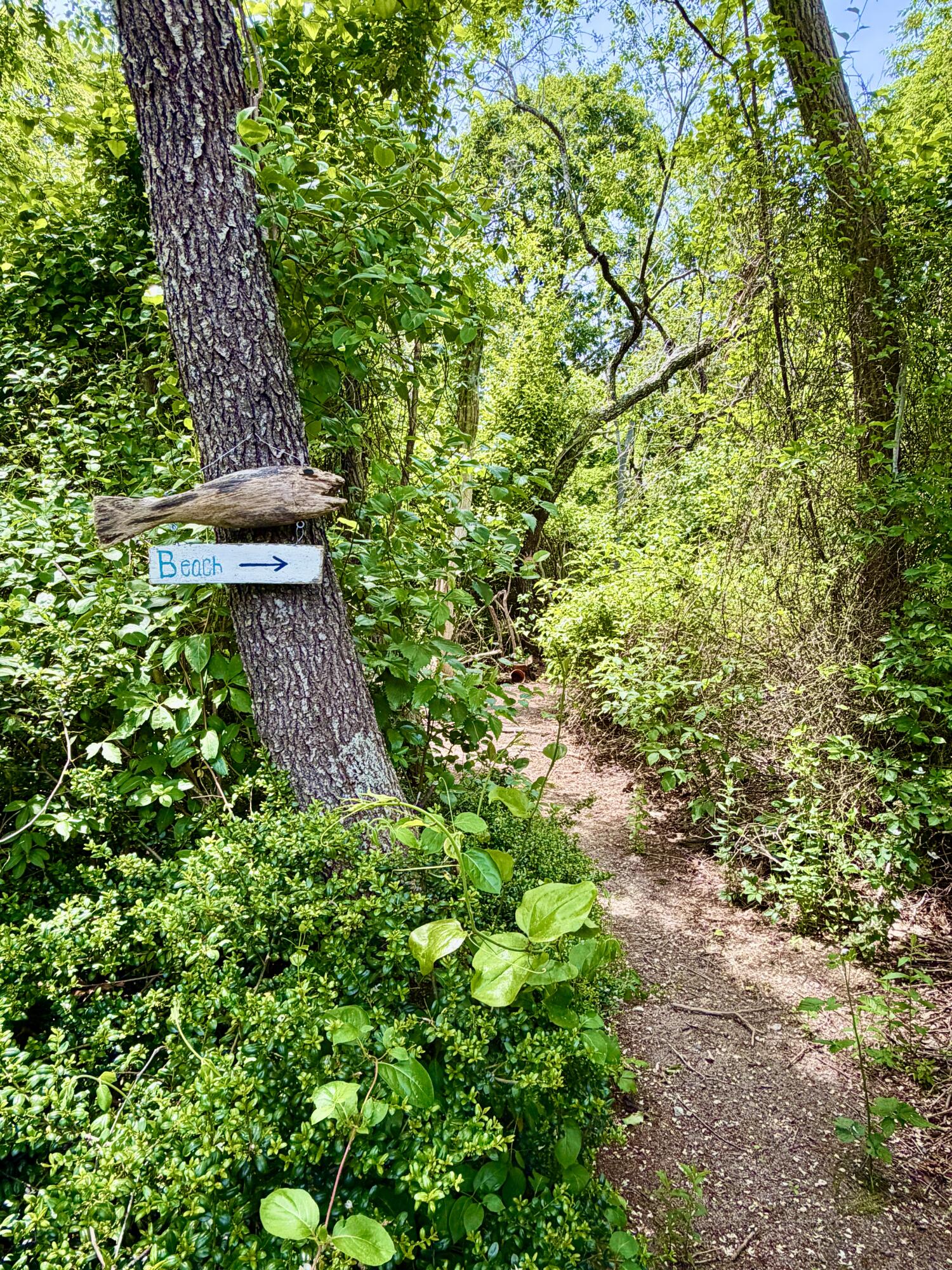 65 Pilgrims Path Eastham MA 02642