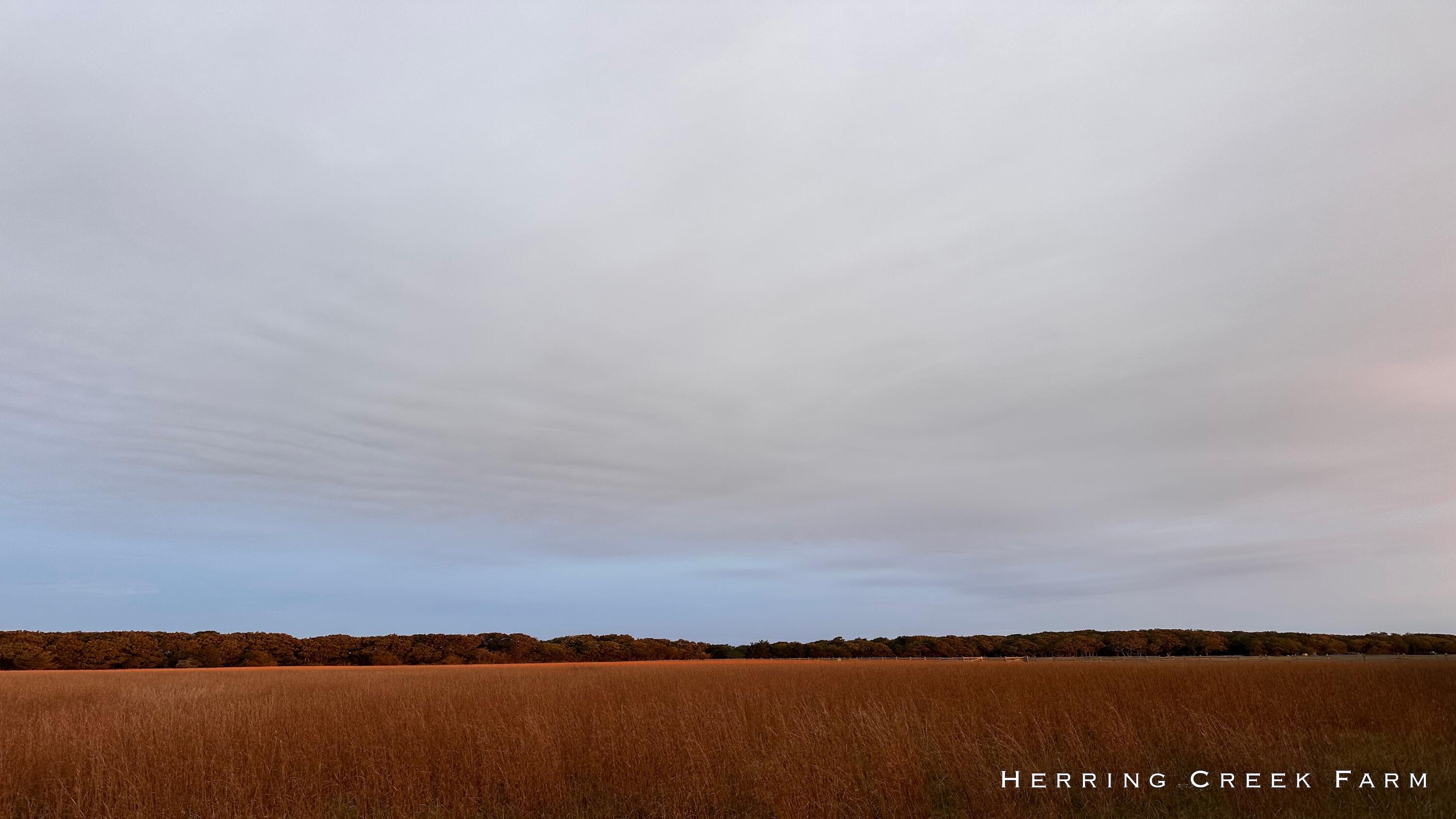 61 Butlers Cove Road Edgartown MA 02539