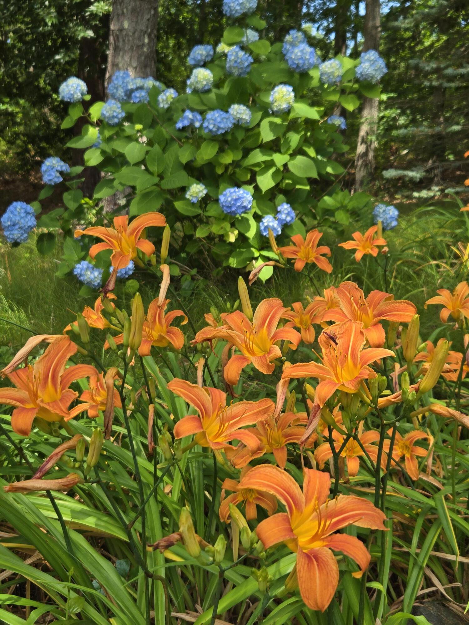 718 Cedar Street Barnstable MA 02668