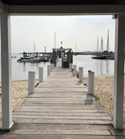 208 Irene's Way Tisbury MA 02568