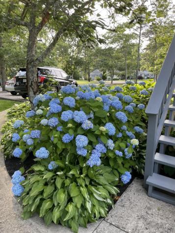 63 Evergreen Street South Yarmouth MA 02664