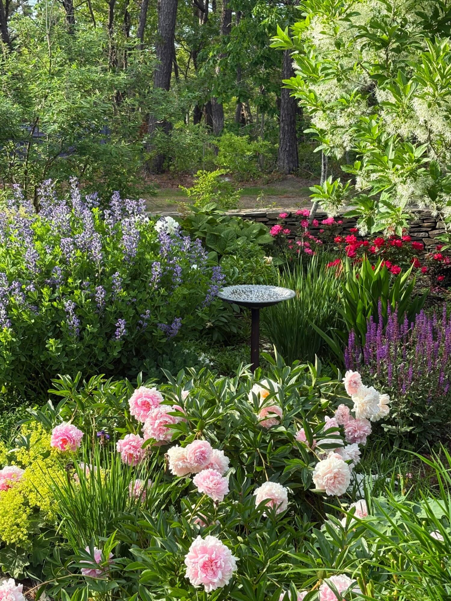 1095 Long Pond Road Wellfleet MA 02667