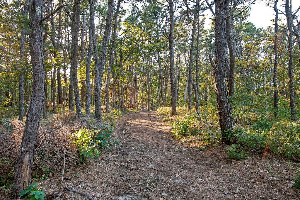 1095 Long Pond Road Wellfleet MA 02667