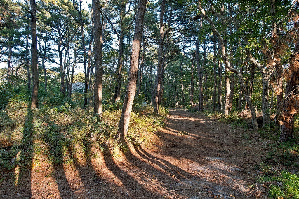 1095 Long Pond Road Wellfleet MA 02667