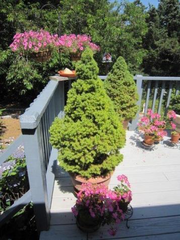 41 Howes Road Brewster MA 02631