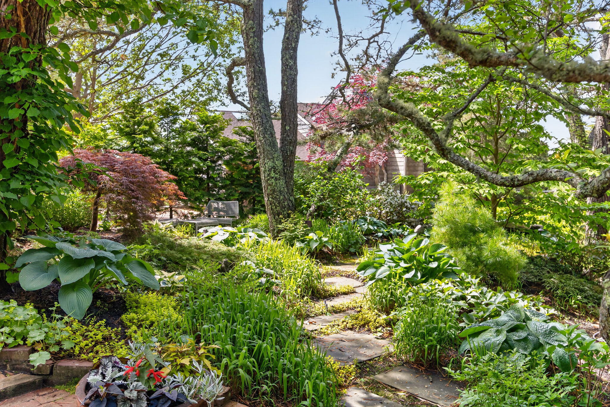 30 Chequessett Knolls Drive Wellfleet MA 02667