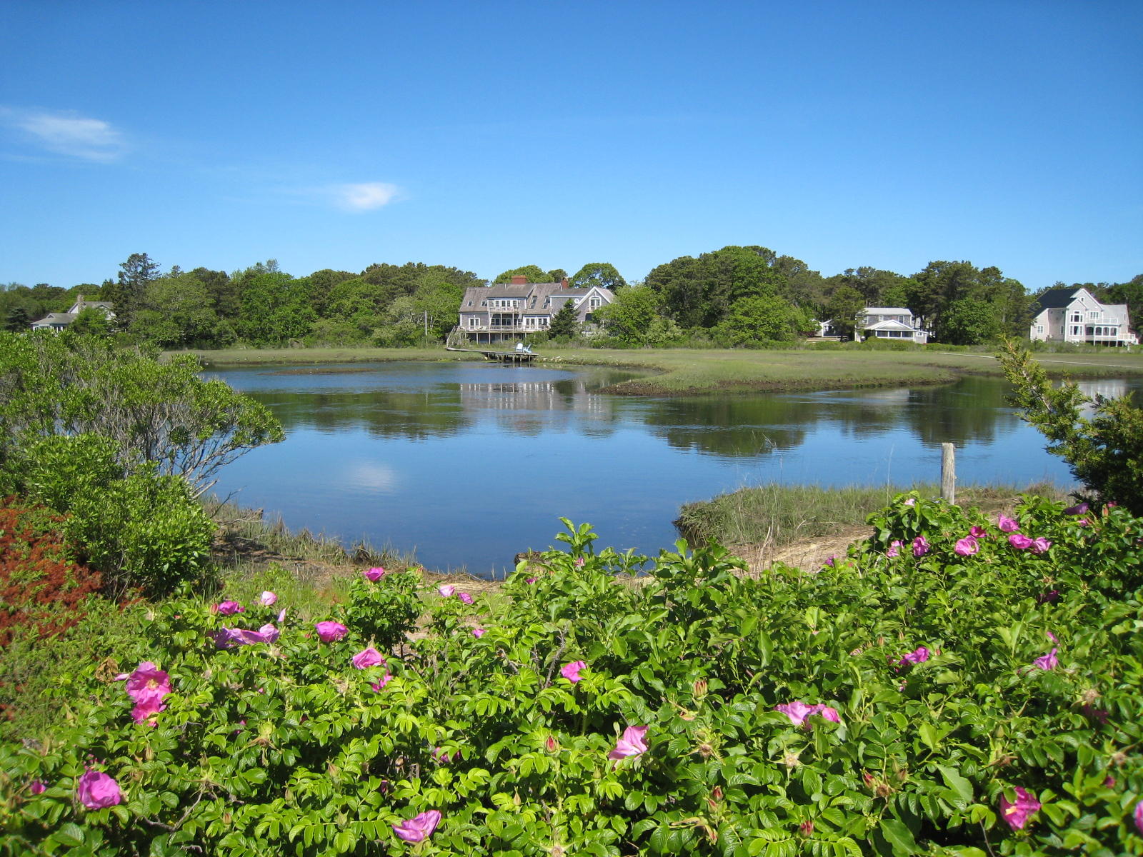 27 Dexter Snow Avenue Dennis Port MA 02639