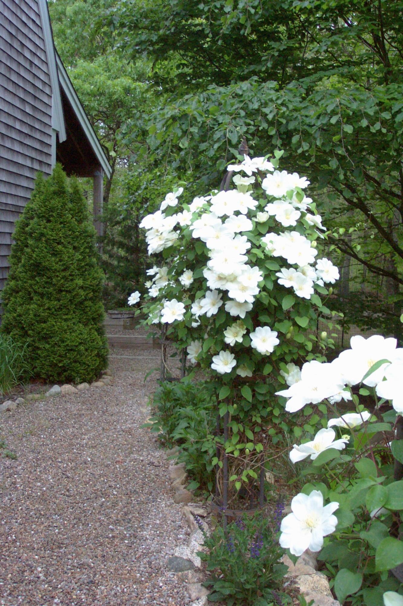 70 Acre Hill Road Barnstable MA 02630