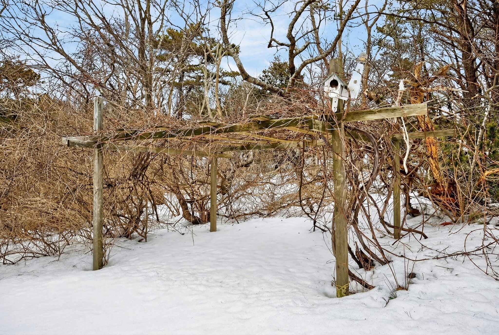 2 Pine Ridge End Truro MA 02652