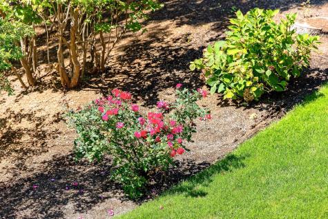 11 Island Creek Lane Dennis MA 02641