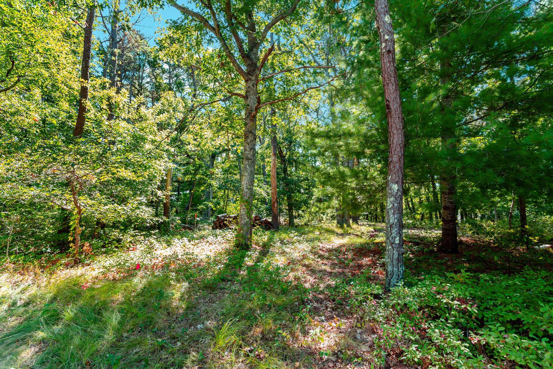 564 Cotuit Bay Drive Cotuit MA 02635