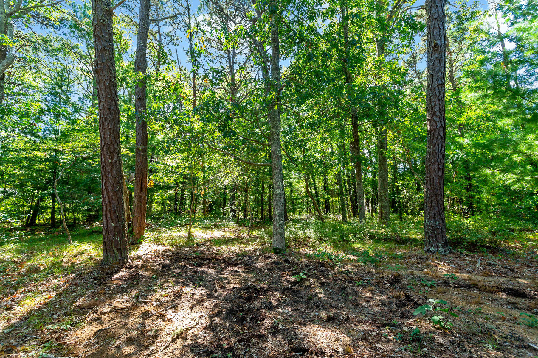 564 Cotuit Bay Drive Cotuit MA 02635