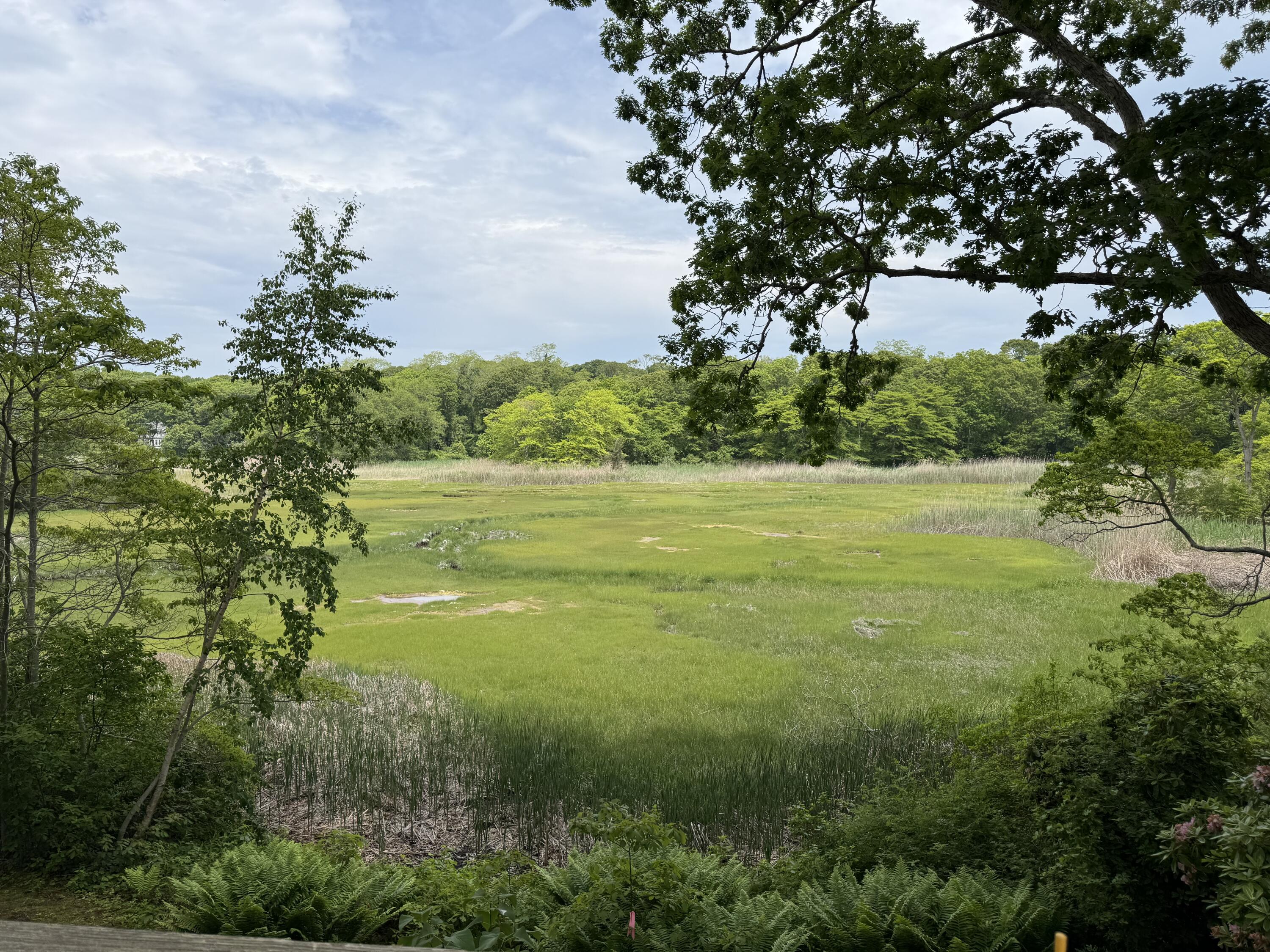 72 Loop Road Falmouth MA 02540