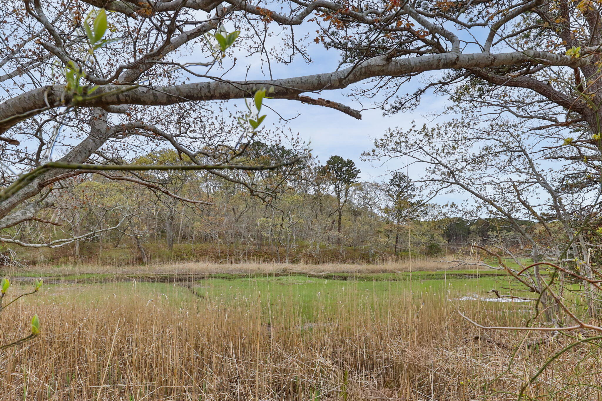 285 Blue Heron Road Wellfleet MA 02667
