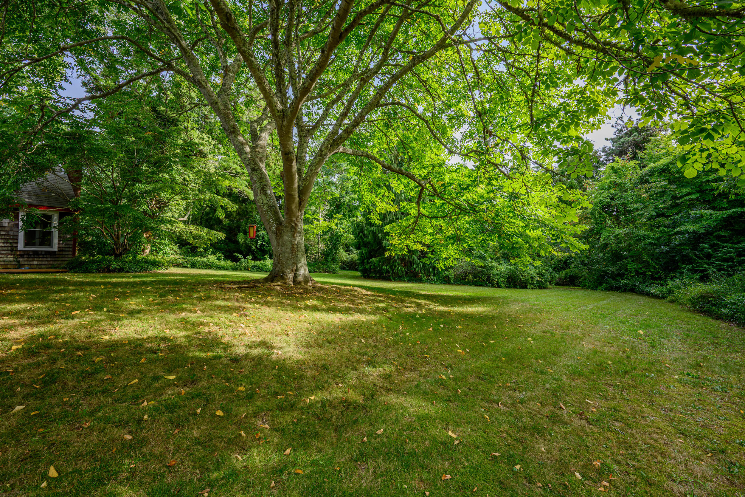 204 Waquoit Highway East Falmouth MA 02536