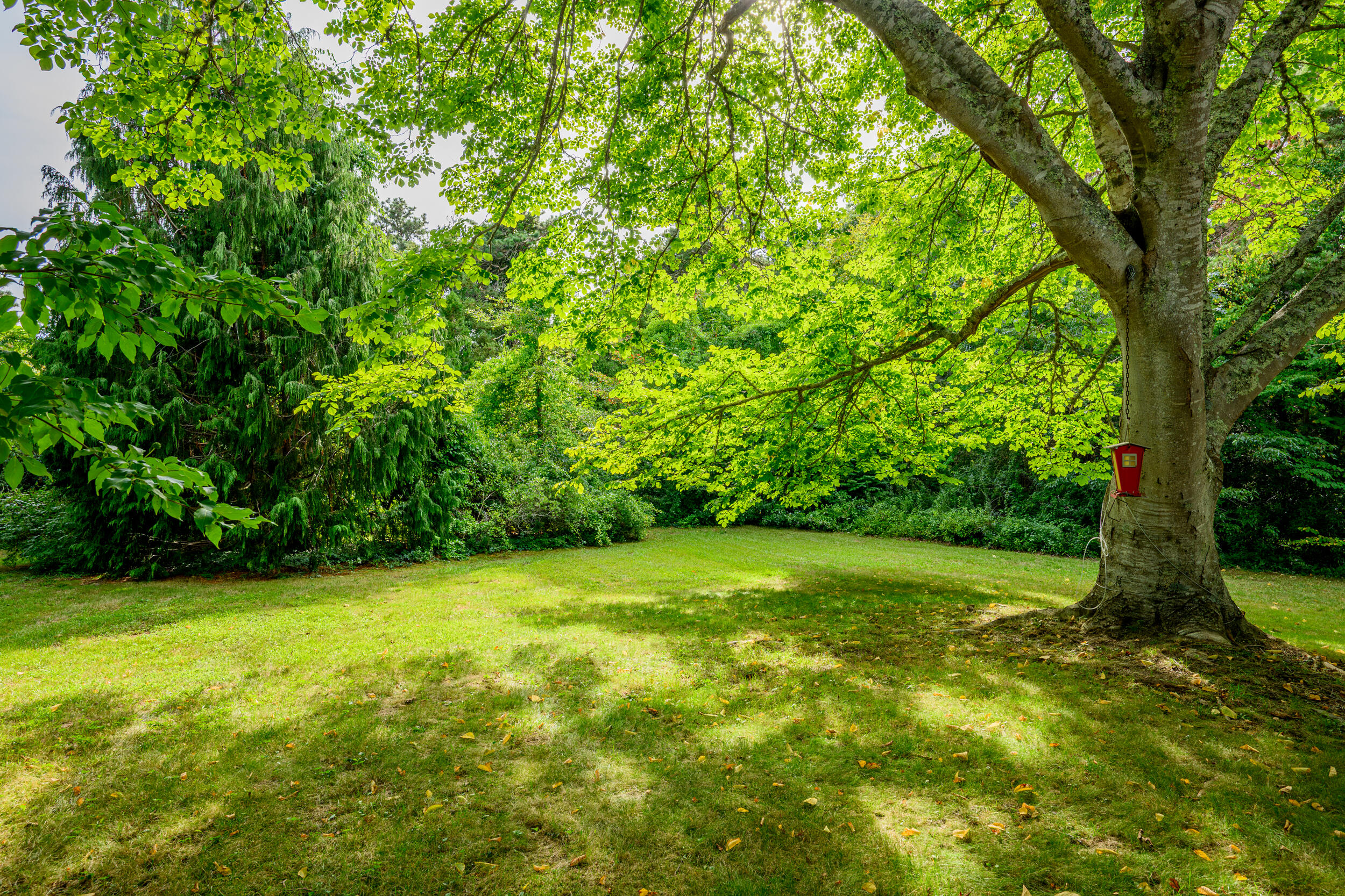 204 Waquoit Highway East Falmouth MA 02536