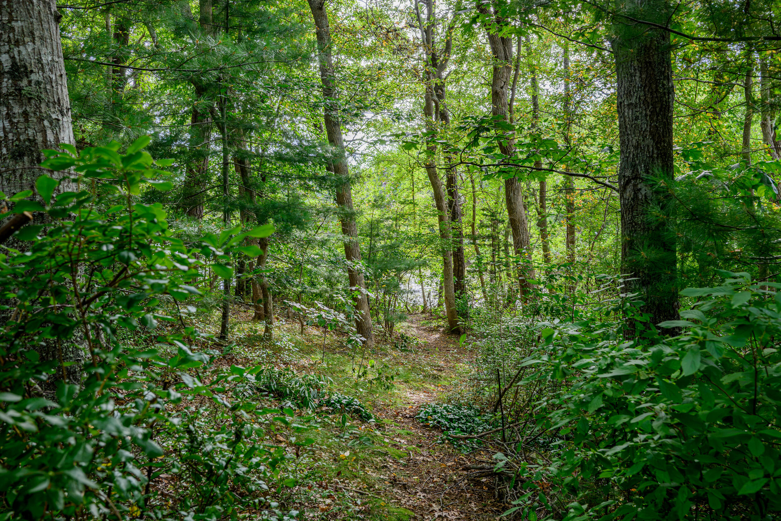 204 Waquoit Highway East Falmouth MA 02536