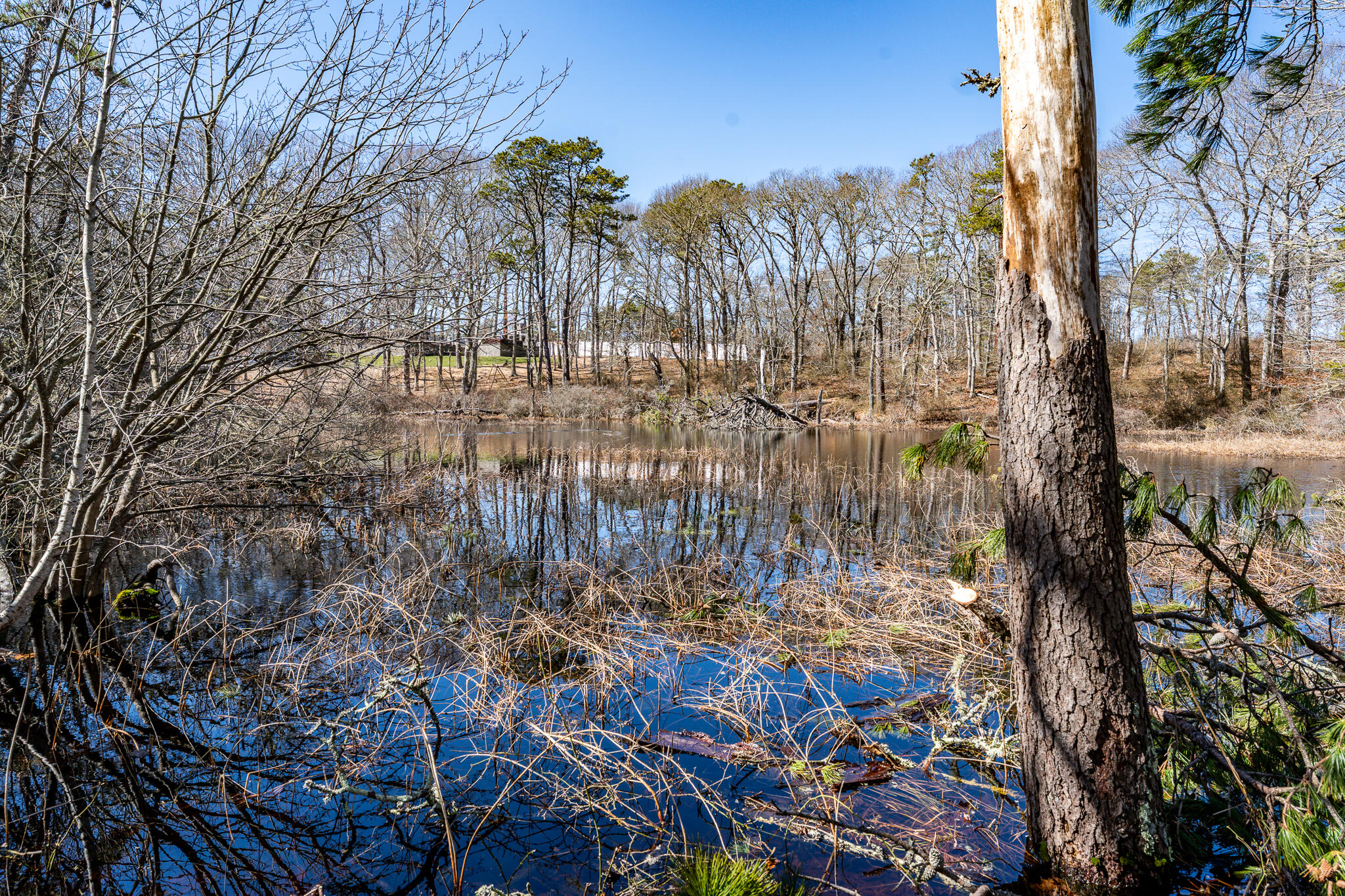 6 Clinton Drive Yarmouth MA 02675