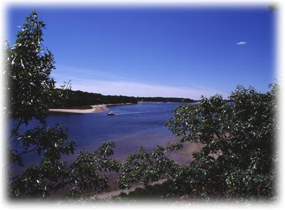 Cotuit MA 02635