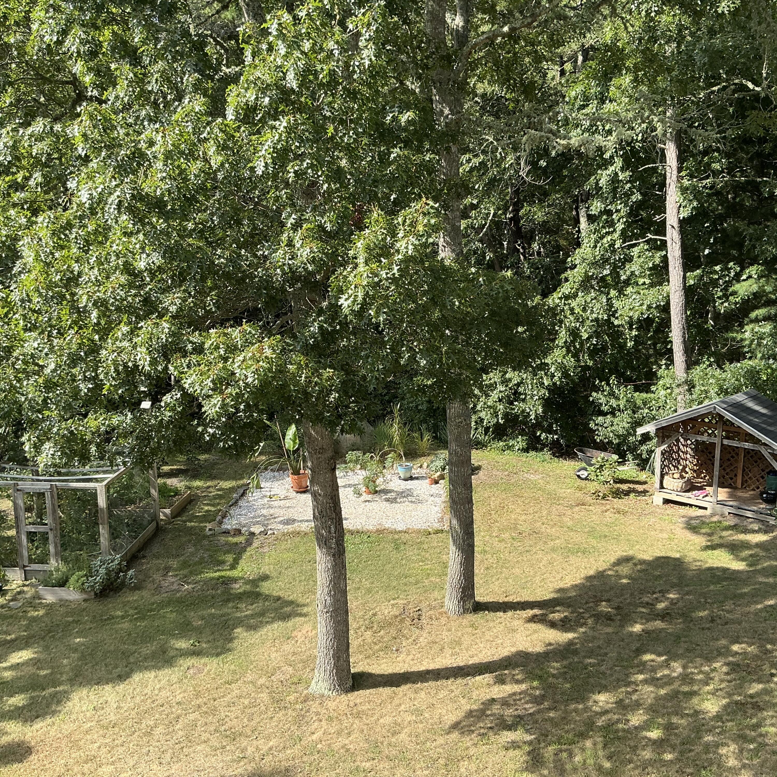 47 Windswept Road Brewster MA 02631