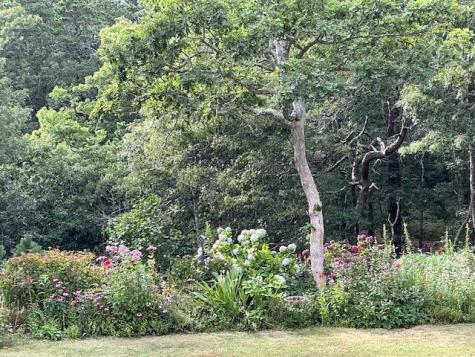 47 Windswept Road Brewster MA 02631