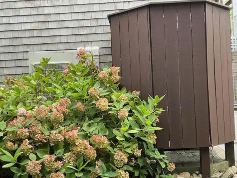 47 Windswept Road Brewster MA 02631