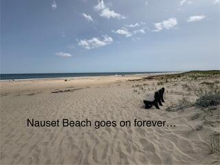 47 Daleys Terrace Orleans MA 02653