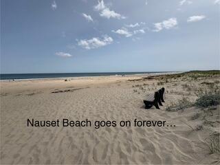 47 Daleys Terrace Orleans MA 02653