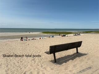 47 Daleys Terrace Orleans MA 02653