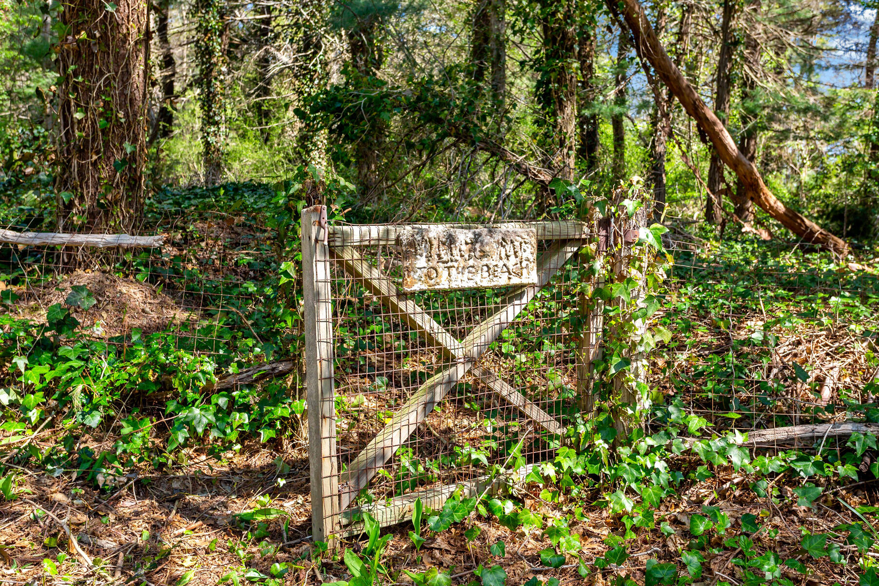 30 Rogers Road Falmouth MA 02540