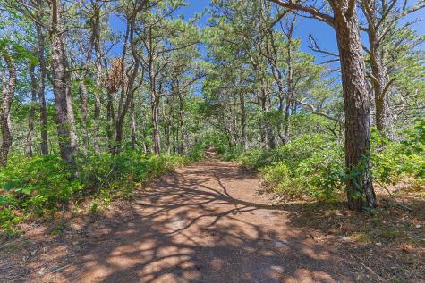 1100 Ocean View Drive Wellfleet MA 02667