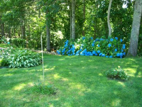 36 Island Street Dennis MA 02641