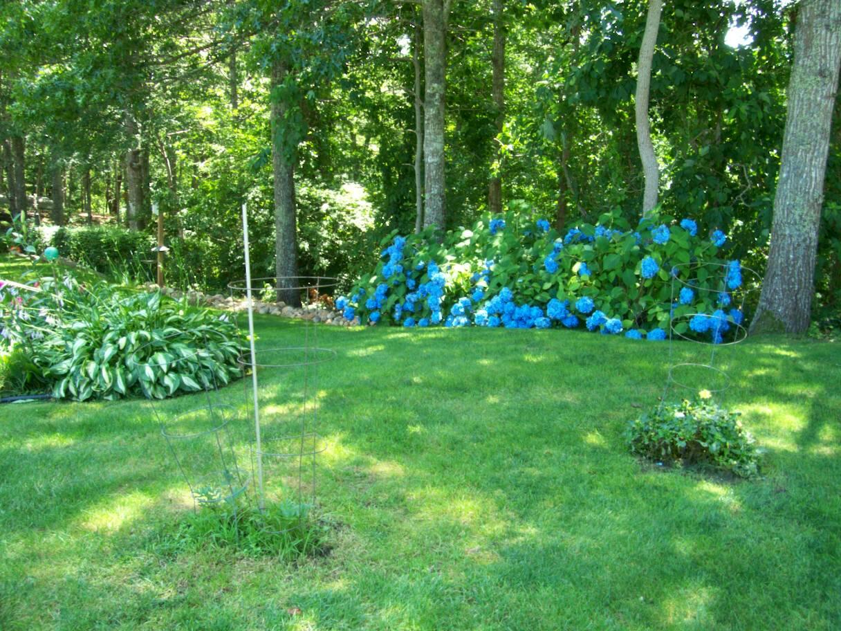 36 Island Street Dennis MA 02641