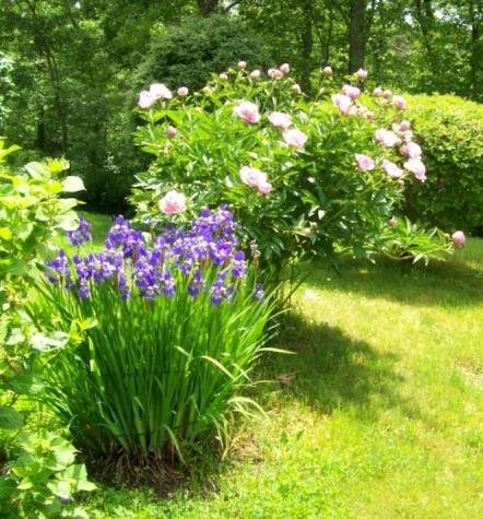 36 Island Street Dennis MA 02641