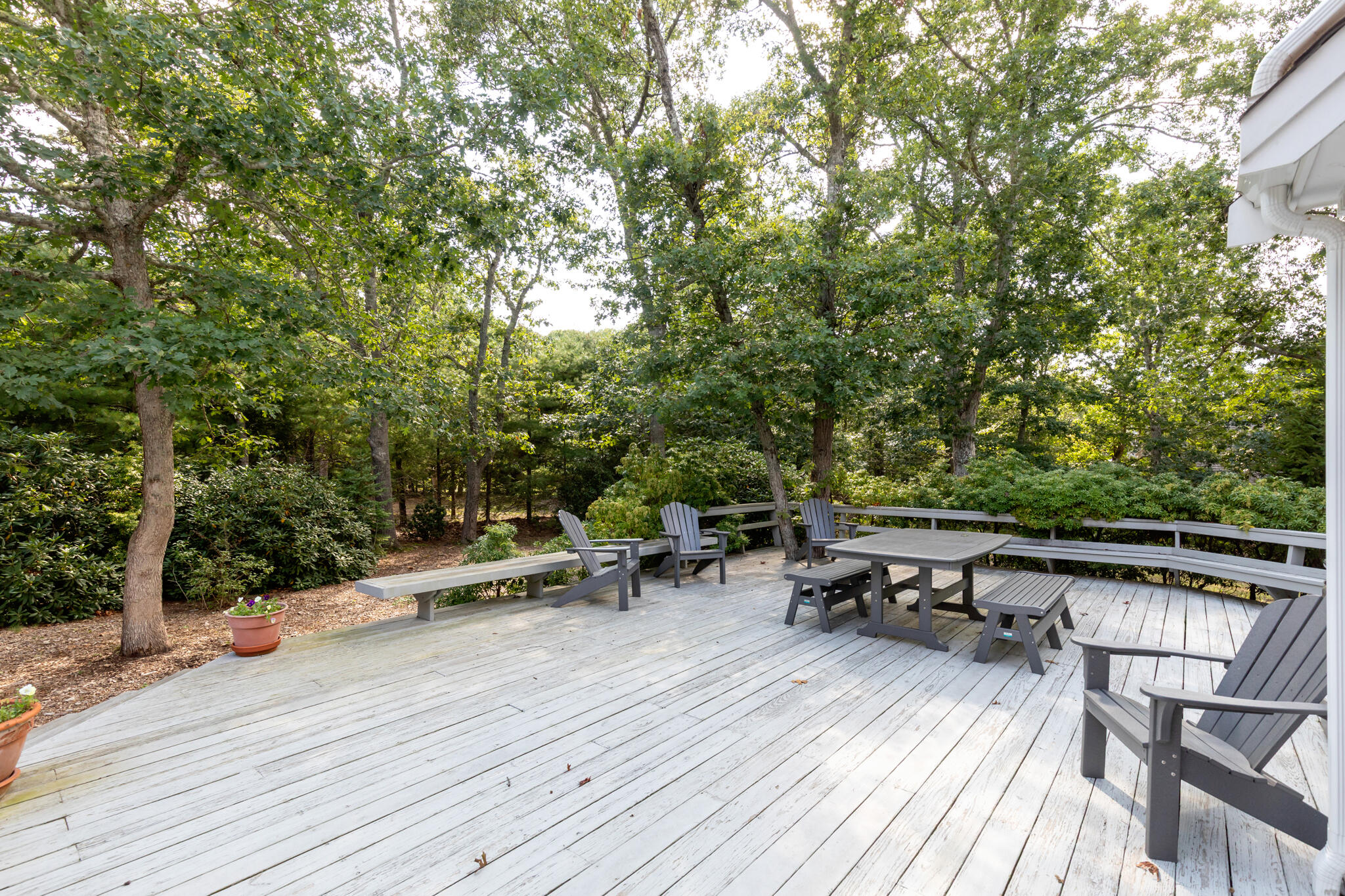 55 Whitney Road Eastham MA 02642